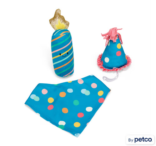 YOULY Birthday Party Set for Dogs, Small/Medium, Blue | Petco | Petco