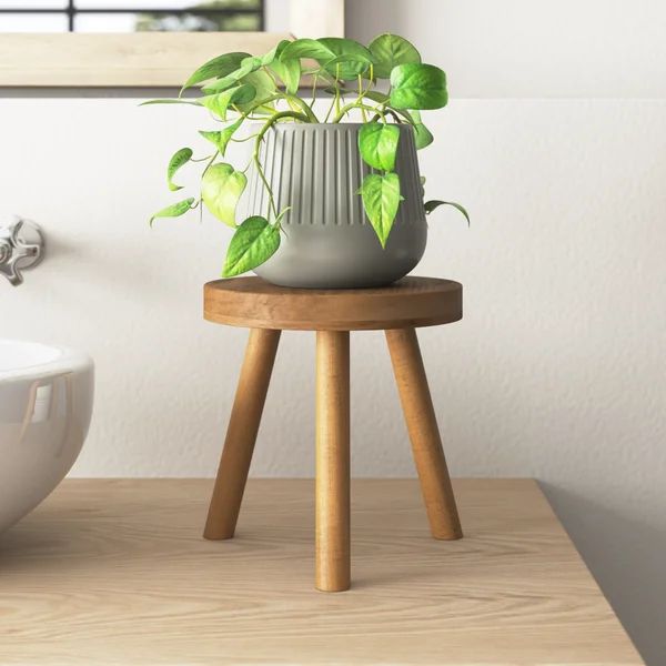 Biskra Round Corner Poplar Plant Stand | Wayfair North America