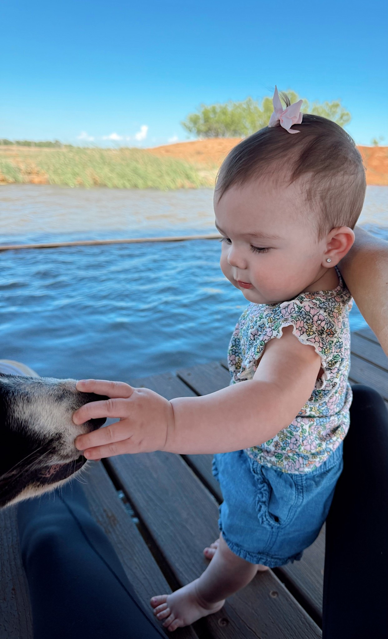 Walmart outfit & Amazon blows