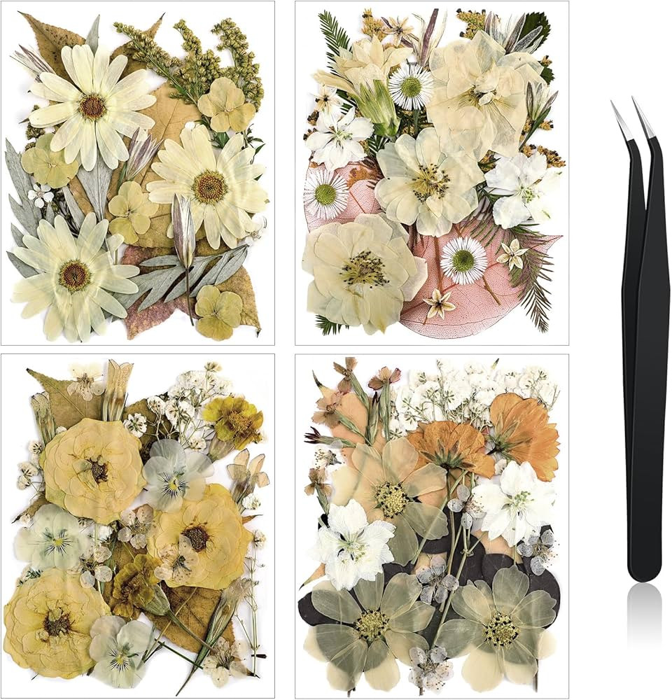 Nuanchu Pressed Flowers Bulk Dried Flower for Crafts, Dried Flower Leave Natural with Tweezer for... | Amazon (US)