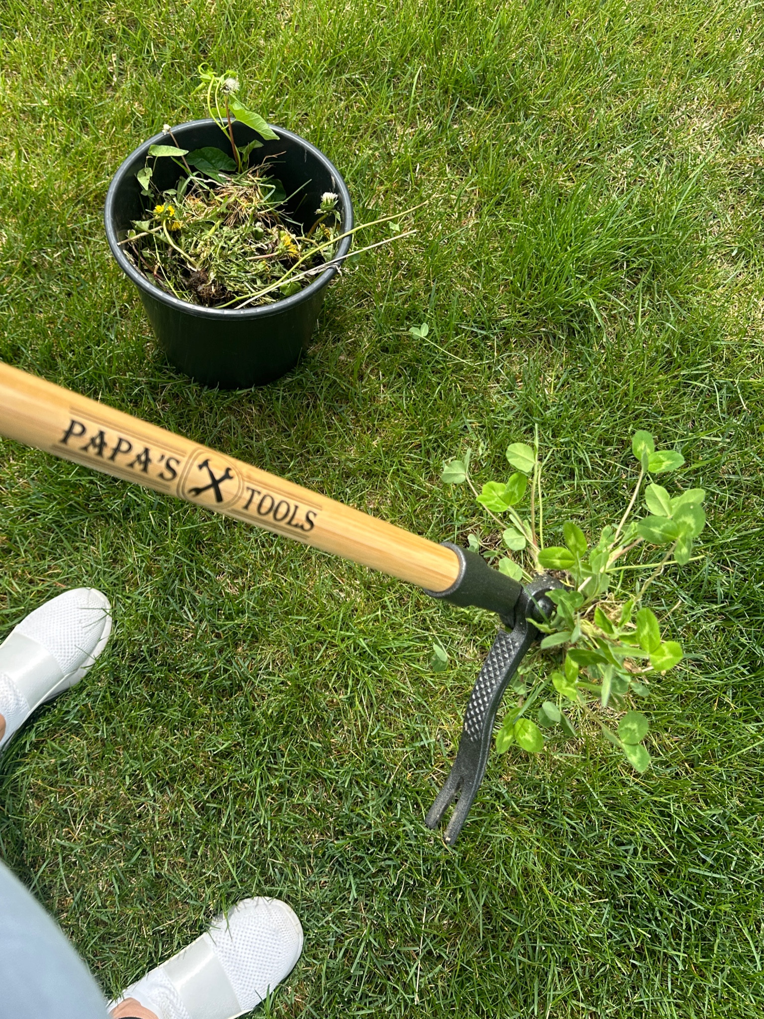 Random, but I am OBSESSED with this stand up weed puller! It pulls out weeds better than you can with your hands - grabs it from the root and it is SO satisfying. Just press the claw down with your foot then tilt it at an angle and voila! I got to make weed pulling during pregnancy easier but this thing will be around for the long haul! Dare I say makes weed pulling fun. 

#LTKSeasonal #LTKGiftGuide #LTKfindsunder50