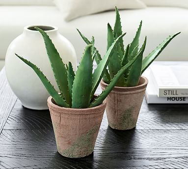 Faux Potted Spiked Aloe Plant | Pottery Barn (US)