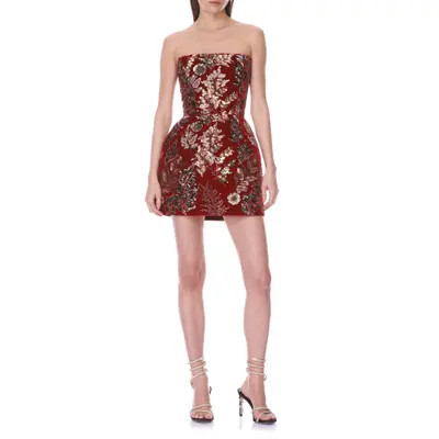 BRONX BANCO Embellished Velvet Minidress in Merlot Multi at Nordstrom, Size Small | Nordstrom