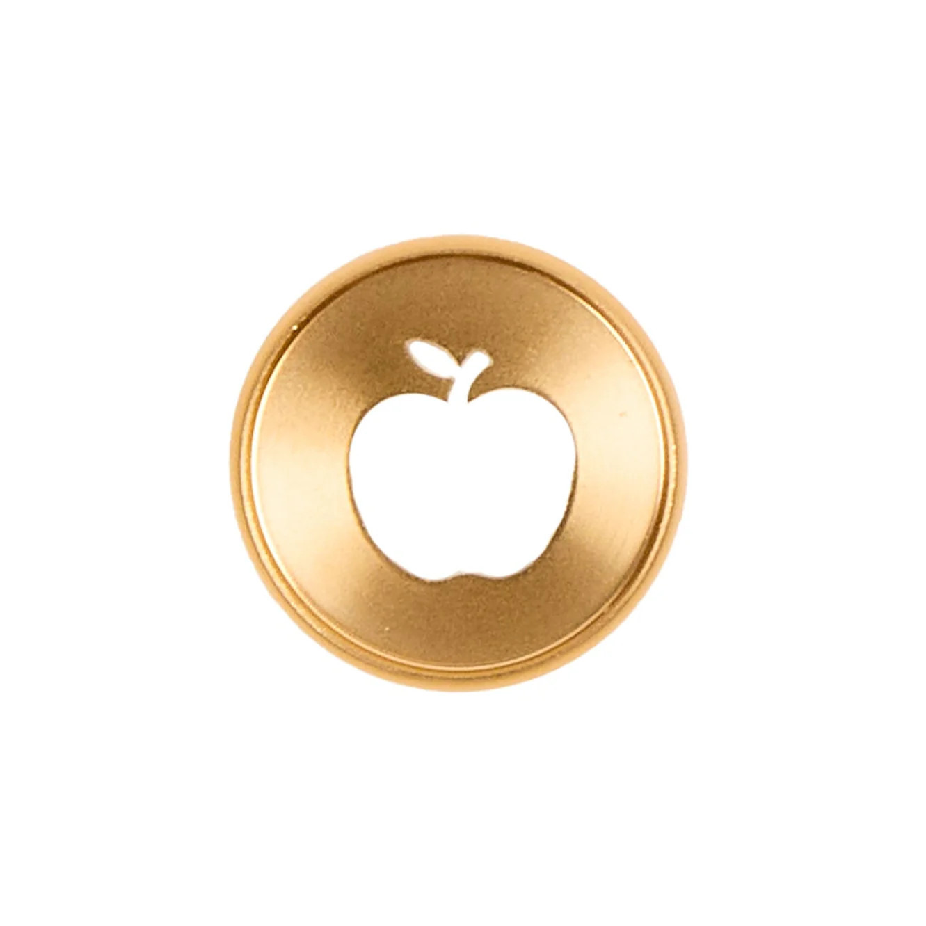 Gold Apple Cut Out - Medium Metal Disc Set | Happy Planner