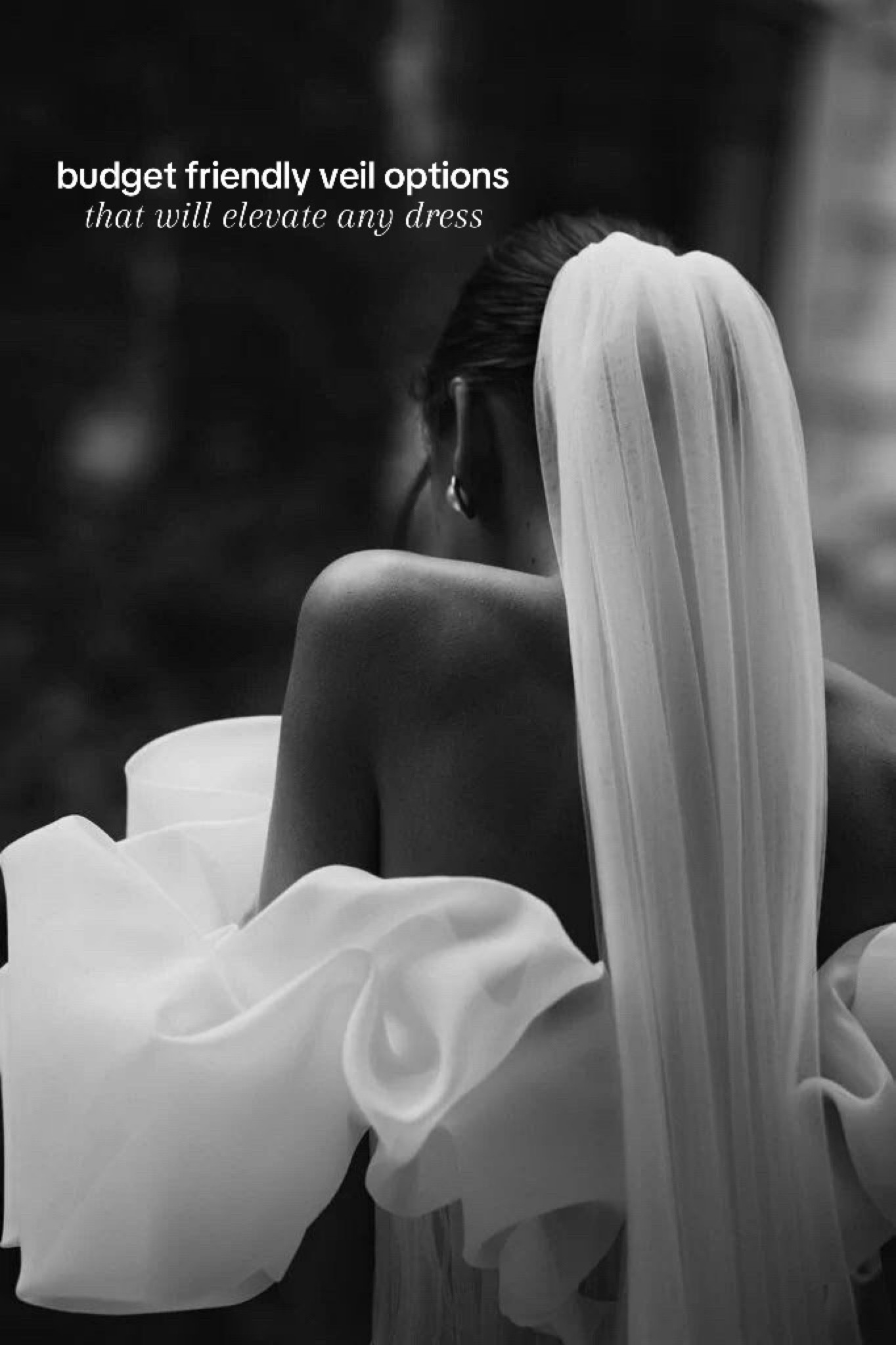 Affordable veil options for 2024/2025 brides

#LTKWedding