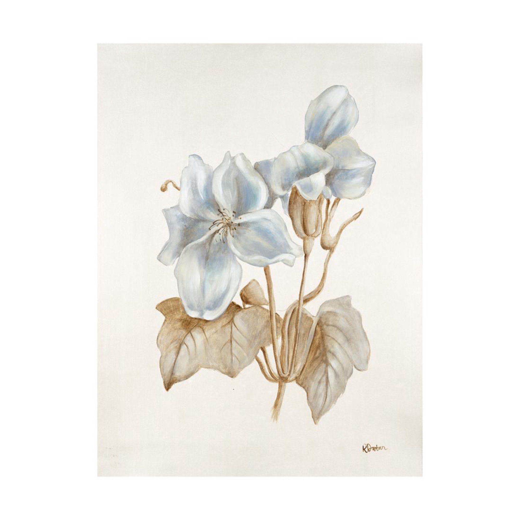 French Botanicals IV Print Wall Art By Rikki Drotar | Walmart (US)