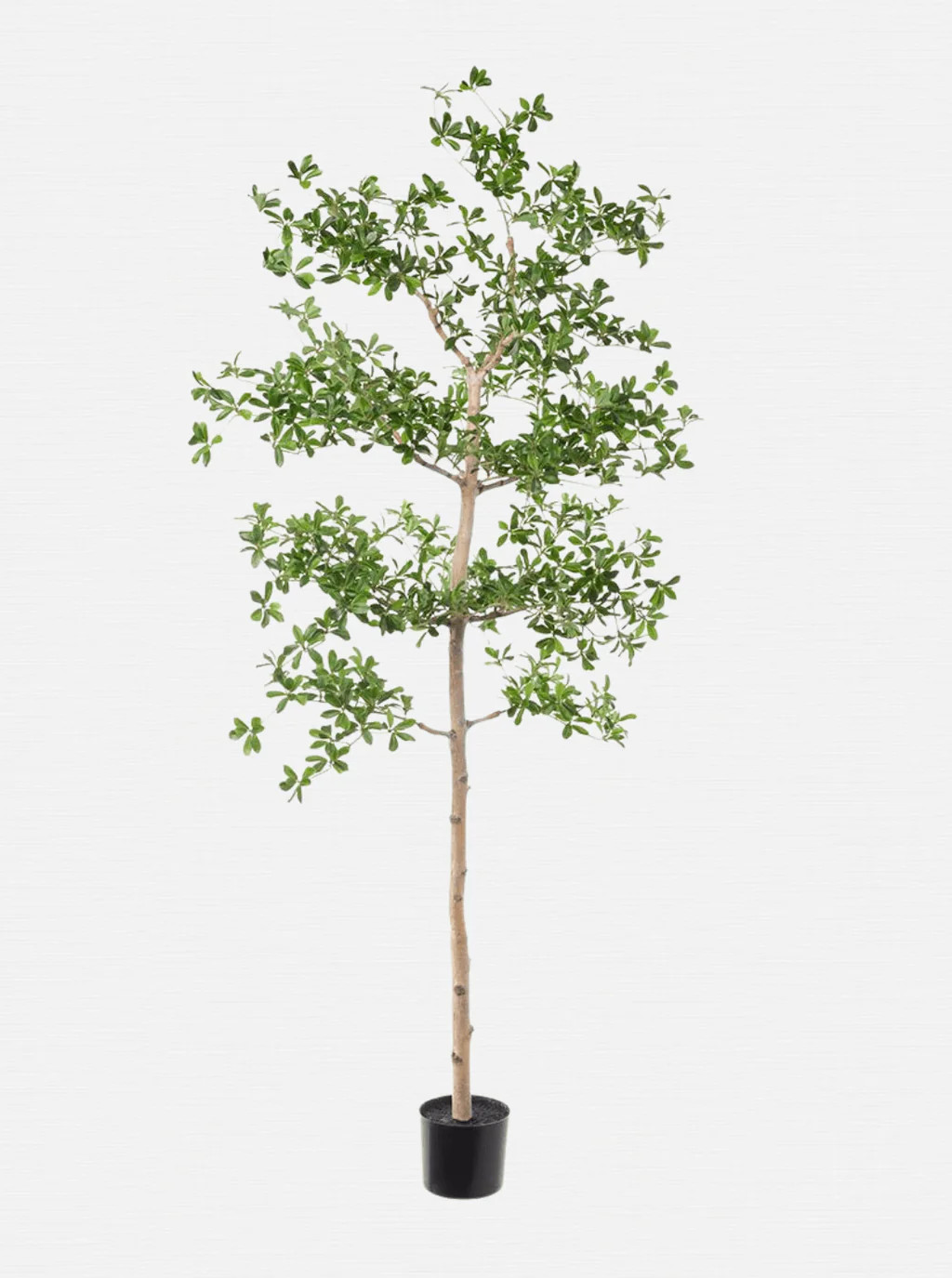 Faux Shady Lady Tree | House of Jade Home