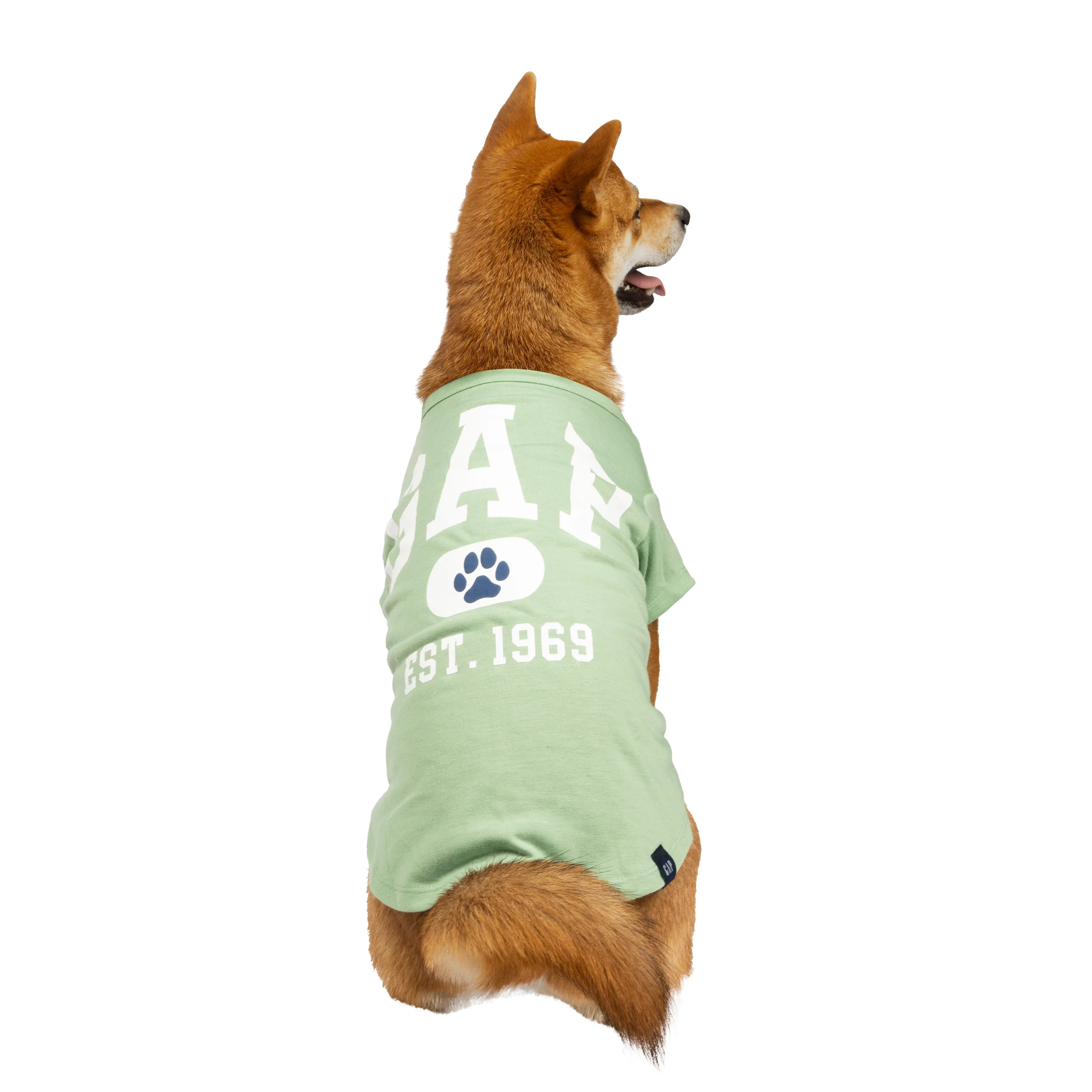 Gap Pet, Dog Clothes, Classic Logo Paw Print Gap Pet T-Shirt | Walmart (US)