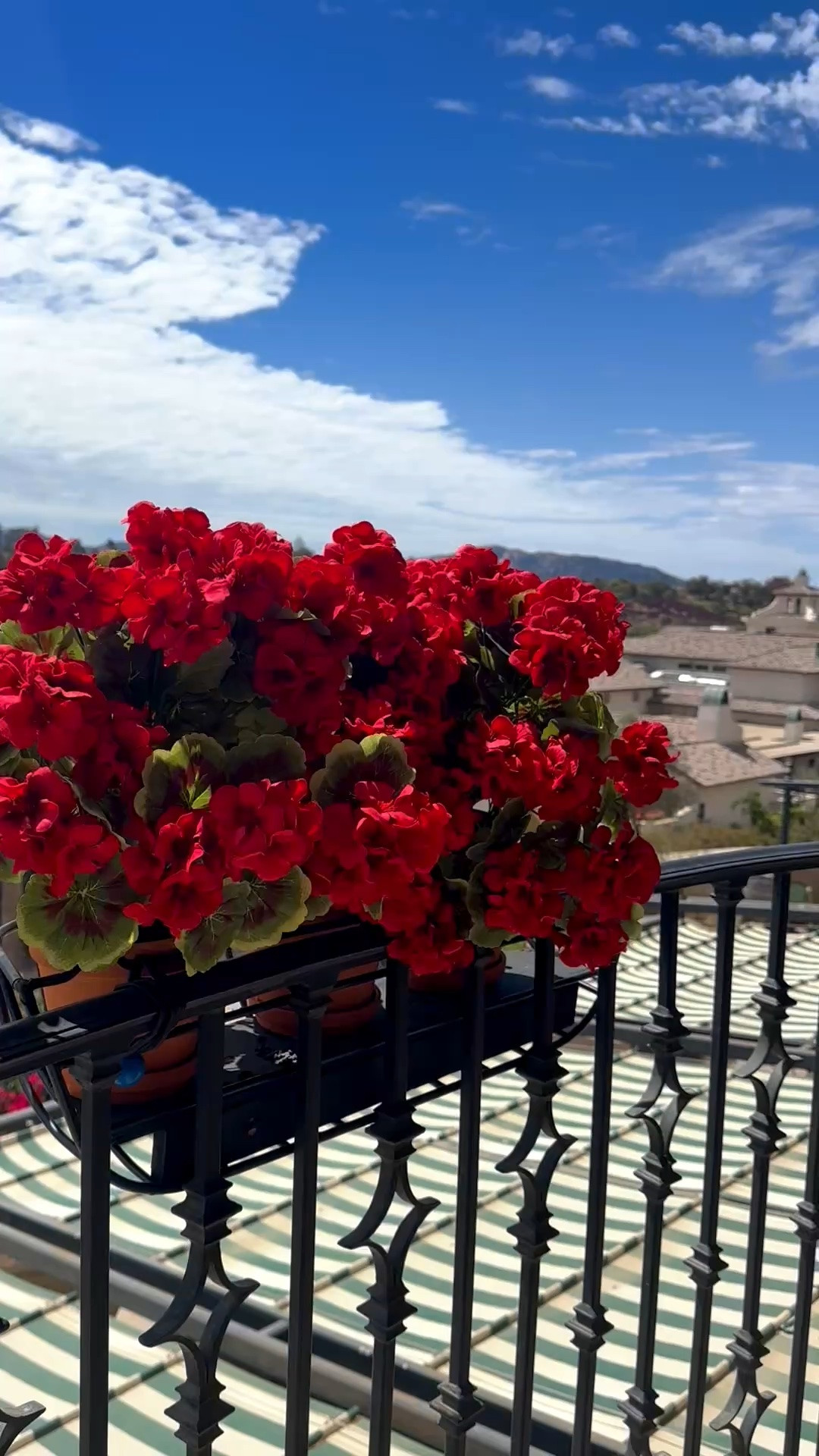 Travel-inspired outdoor styling 🌺✨

Vibrant red geraniums against warm stone, terracotta planters, and Mediterranean architecture — such a timeless Tuscan-inspired moment.

I love how a simple pop of flowering color can instantly give a patio, balcony, or outdoor space that relaxed European getaway feeling. Shop my handpicked flowers and planters to bring a touch of the Mediterranean home.

#TravelInspiration #TuscanStyle #MediterraneanStyle #Geraniums #OutdoorFlowers #PatioFlowers #ContainerGarden #TerracottaPlanter #OutdoorLiving #PatioDecor #GardenInspiration #EuropeanStyle #LTKHome #LTKTravel

#LTKdayinmylife #LTKHome #LTKTravel