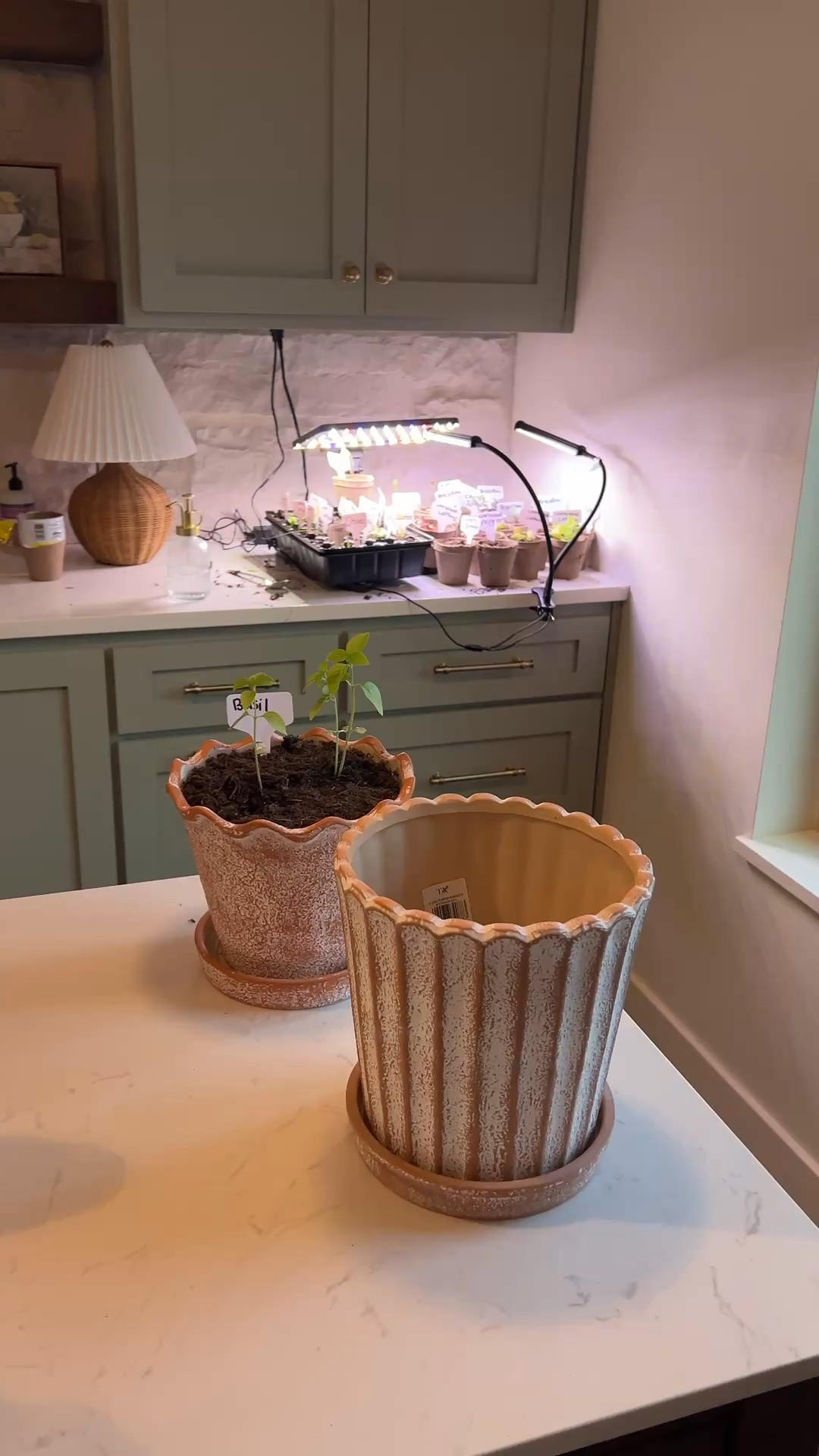 Planters on sale! These make the cutest window sill planters or herb gardens!

#LTKHome #LTKSeasonal