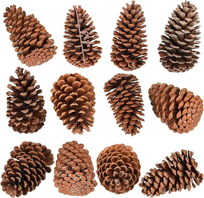 Huwena 12 Pcs PineCones Large Natural Unscented Pine Cones Bulk Rustic Christmas Tree Ornaments D... | Amazon (US)