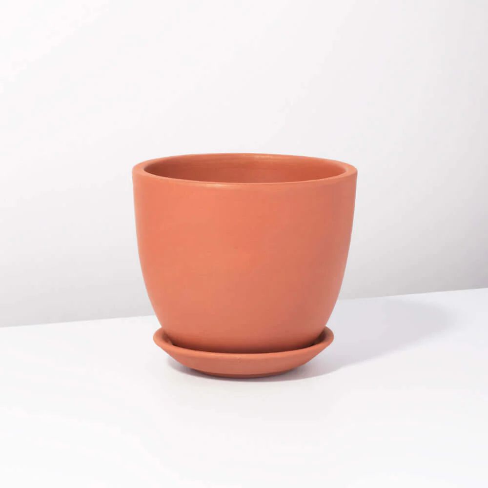 Marie Oval Terracotta Minimalist Planter - Empty | Verdant Lyfe