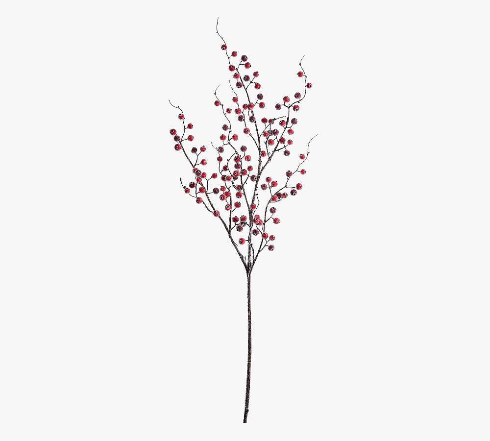 Faux Sugared Berry Branches - Set of 12 | Pottery Barn (US)