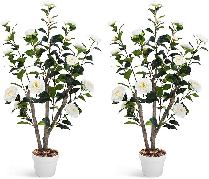 Jocoevol 3FT Artificial Camellia Tree 2 Pack, 36“ Faux Camellia Plant in Pot, Floral Tree Artif... | Amazon (US)