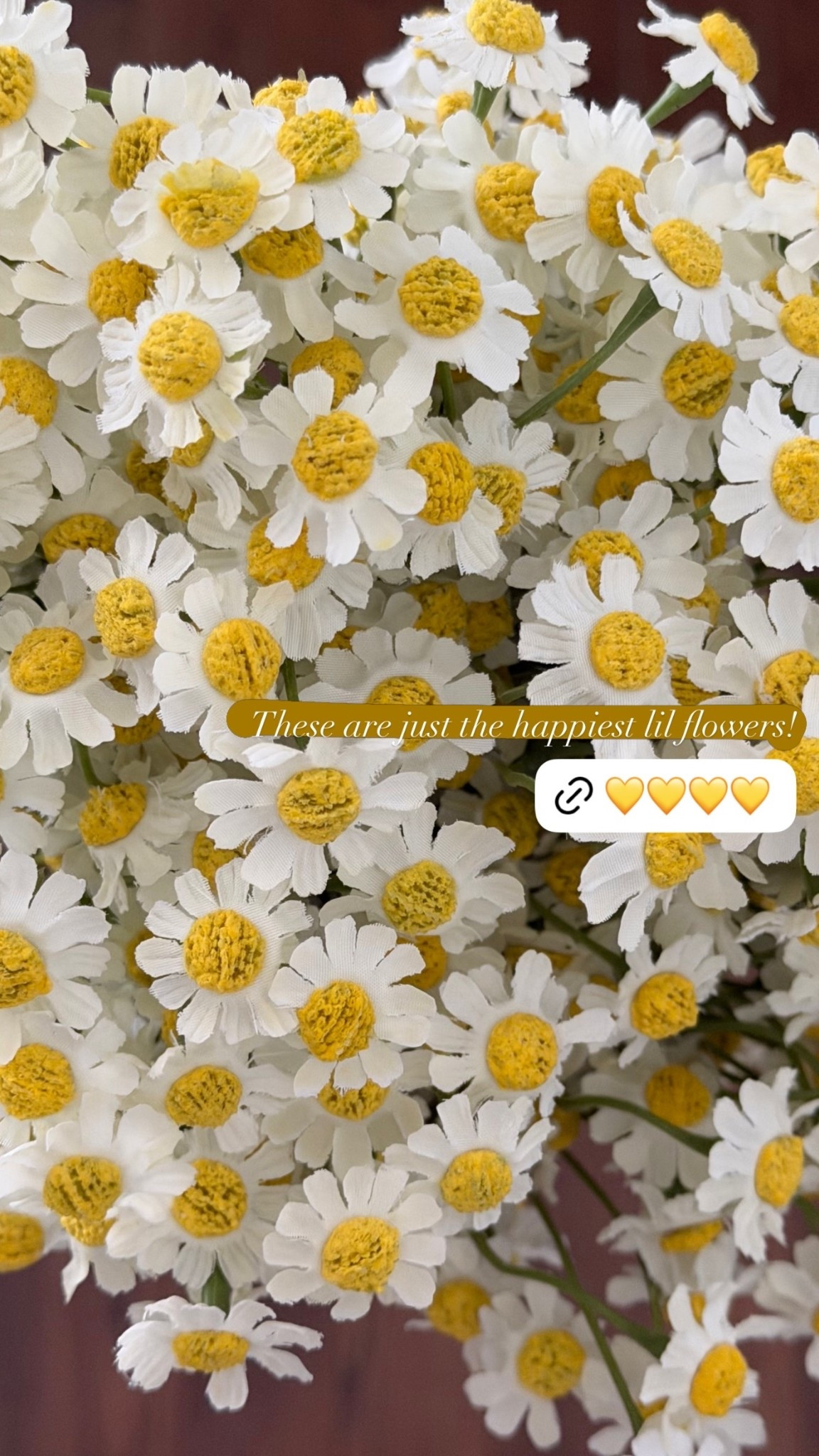 These are just the happiest lil flowers!