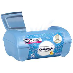 Cottonelle Fresh Care Flushable Moist Wipes Tub, 42 ea | Drugstore