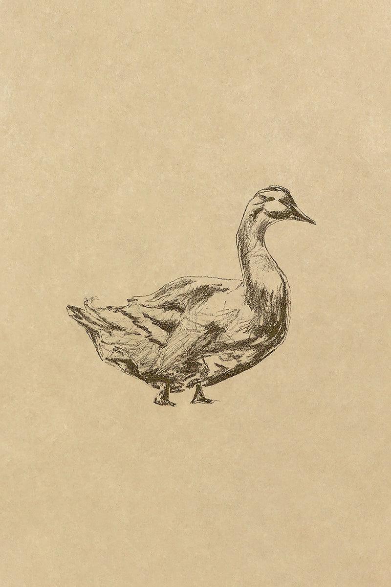 Goose | Juniper Print Shop