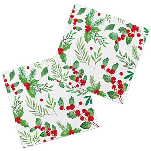 Christmas Party Supplies, Christmas Seasonal Holly Paper Beverage Napkins, Paper Cocktail Napkins for Merry Christmas Party and Holiday Party Decorations | Amazon (US)