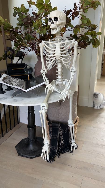 5’ Skeleton under $30!!!  💀🙌. Grab this guy before he sells out! 


Halloween home decor, Walmart finds, 

#LTKfindsunder50 #LTKHalloween #LTKhome