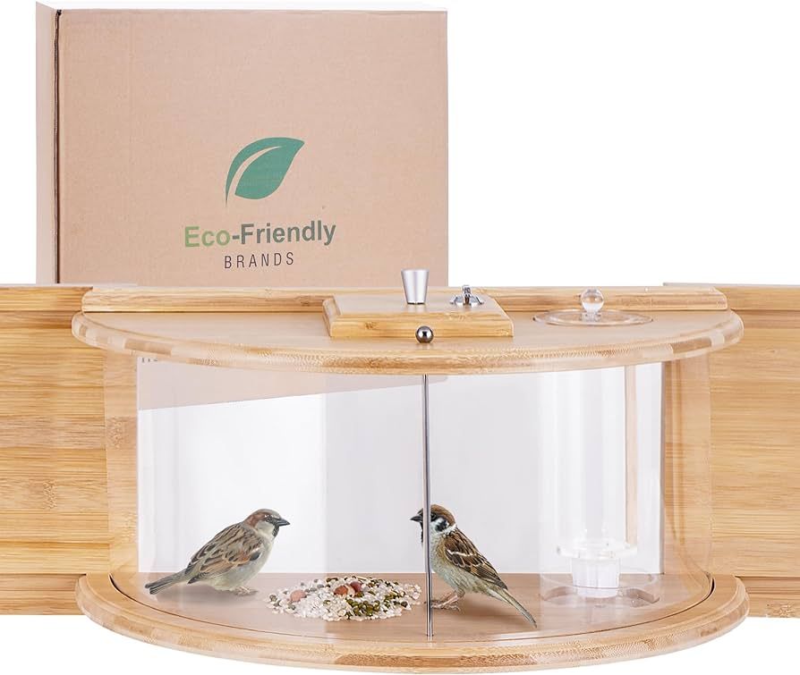 Eco-Friendly Window Bird Feeder with Waterer: Enjoy Watching Birds from The Comfort of Your Own H... | Amazon (US)