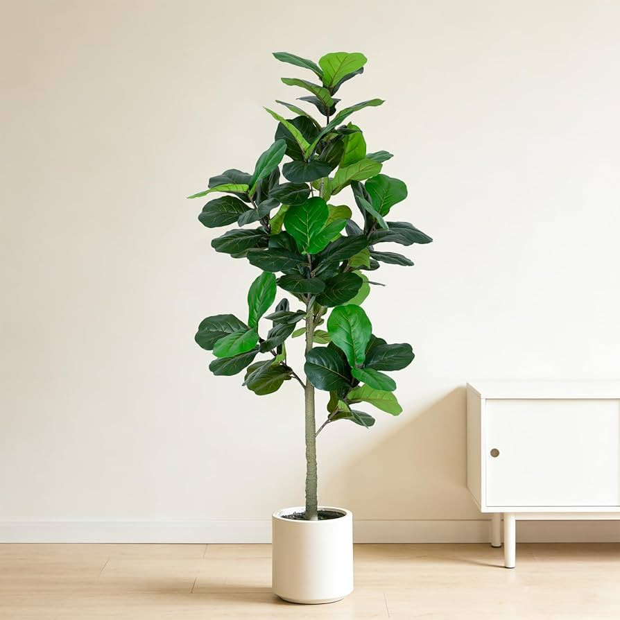 6FT Fiddle Leaf Fig Artificial Tree with White Planter Pot,Faux Floor Plant, Indoor and Outdoor F... | Amazon (US)