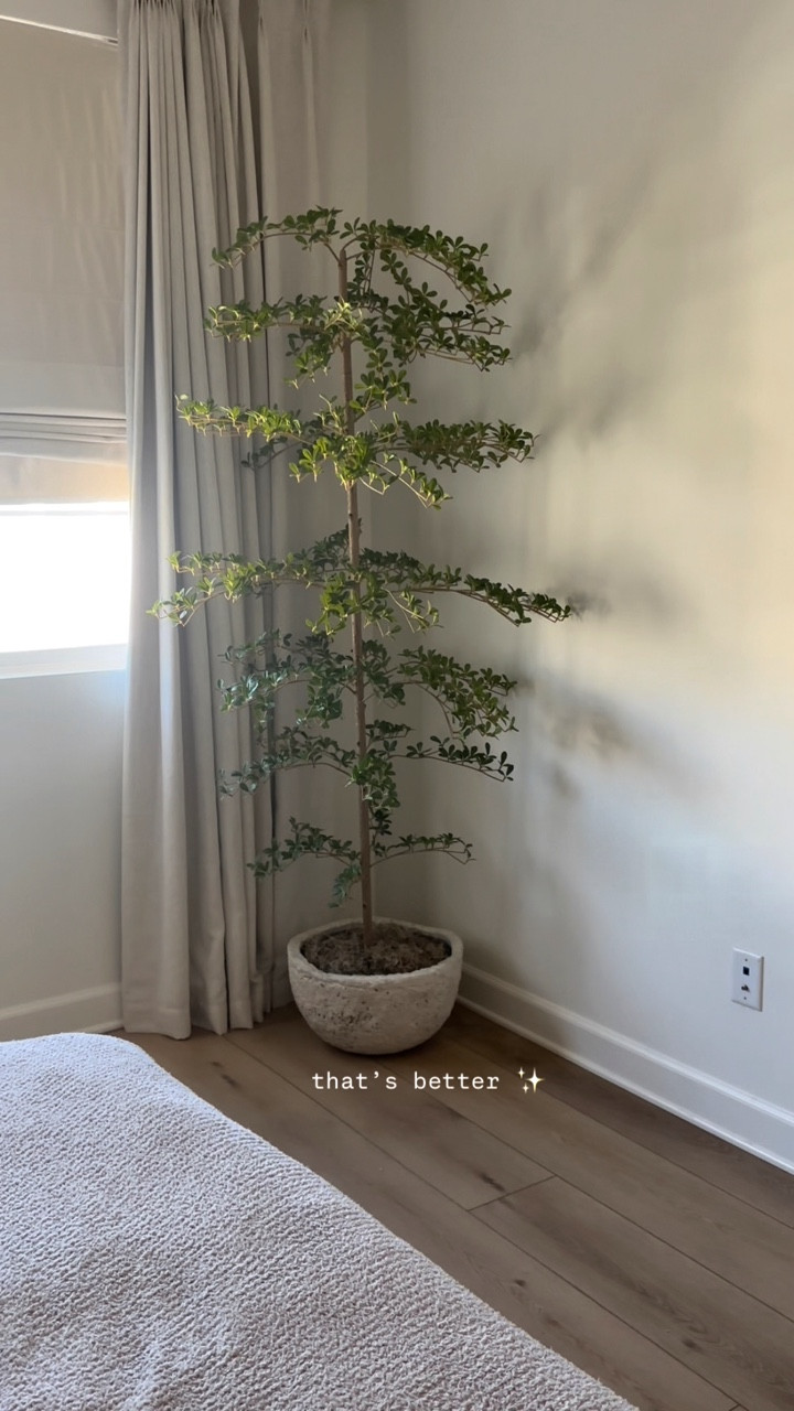 Featuring my new limestone look-alike planter! 🌲 

For months, we had a Christmas tree in this corner. When I finally took it down, the room felt empty. 
And I didn’t want to fill it with more decor or clutter it up

So I found this planter on FBMP and moved one of okr shady lady trees here instead of buying something new. And now this corner feels complete

🏷️ faux shady lady tree, faux olive tree, Amazon home finds, affordable Amazon finds, home decor, home inspo, neutral home, earthy home, rental friendly home ideas, Facebook marketplace finds