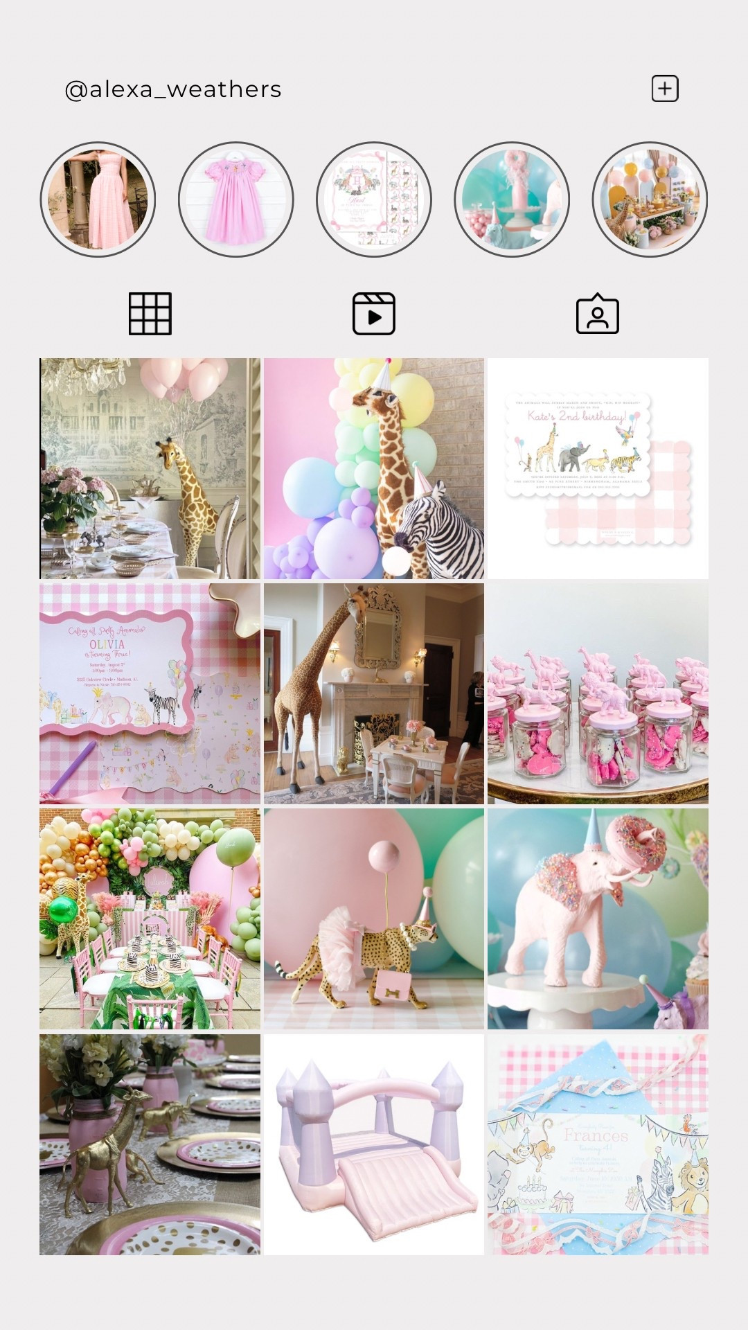 Pink girly party animal zoo birthday party 