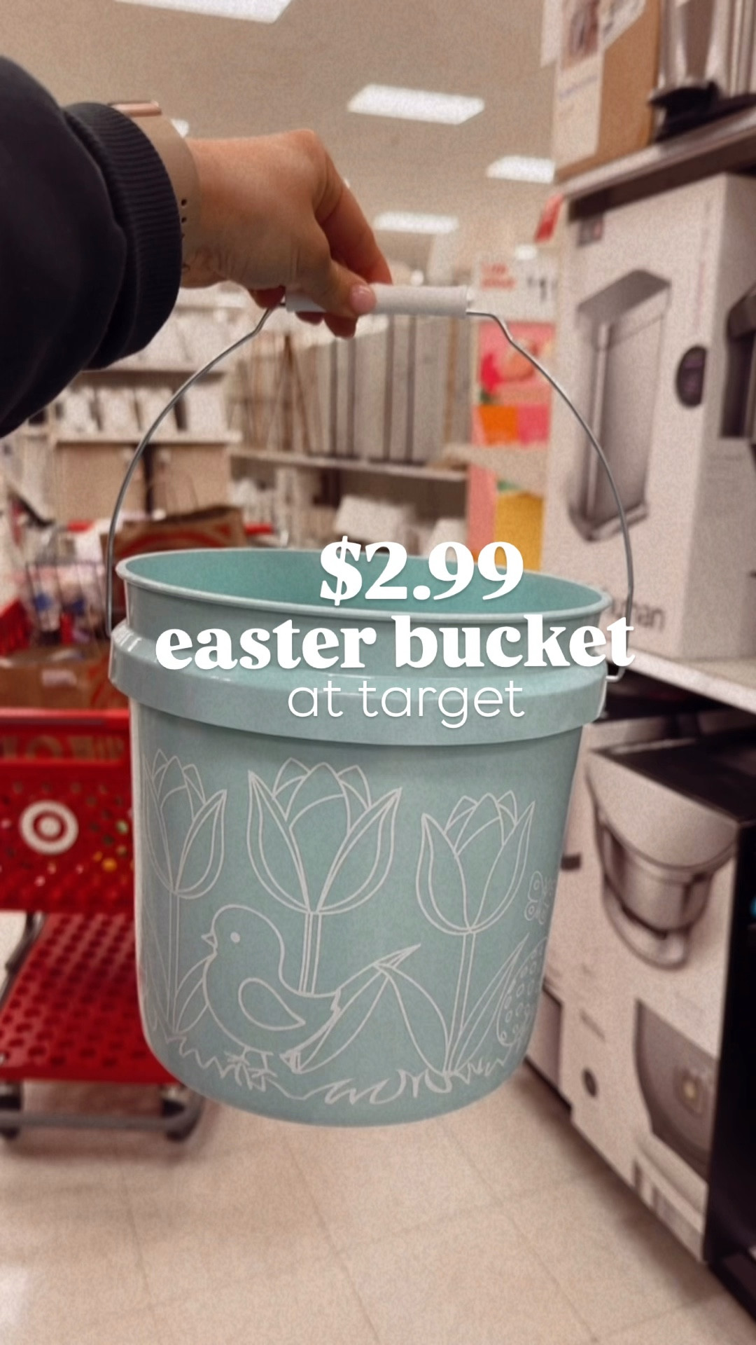 $2.99 Easter BUCKET! 

#LTKHome #LTKSaleAlert #LTKSeasonal