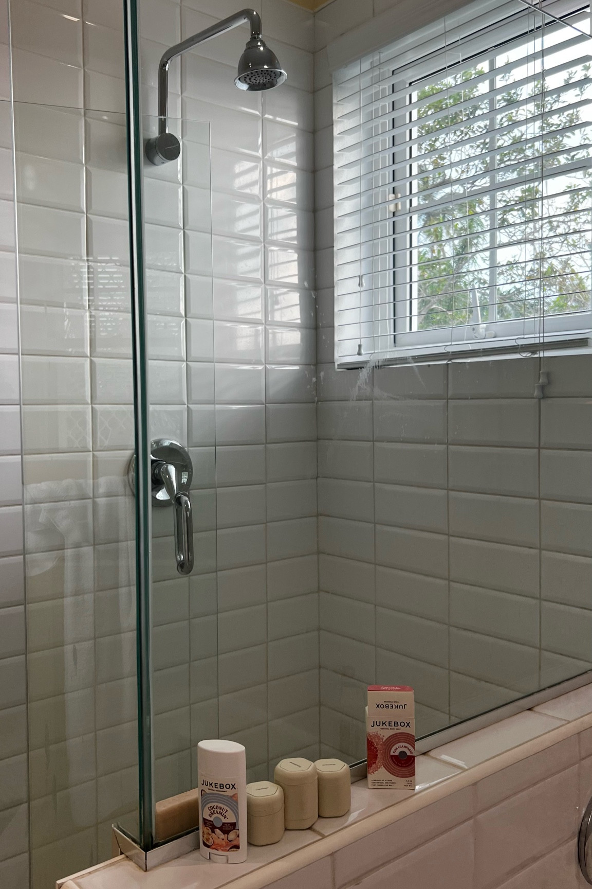 My travel must-haves looking so cute here on the shower shelf! I am obsessed with Jukebox soaps and their deodorants are great too! They all have a music inspired theme, and as a music city girly here in Nashville you know I’m all about it! And if you are traveling this spring you have to invest in cadence. They are magnetic, TSA approved containers for all your beauty and bath products! 

#LTKhome #LTKtravel #LTKbeauty