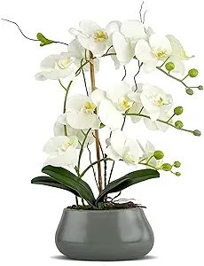 White Orchid Artificial Flowers with Gray Vase Fake Faux Silk Phalaenopsis Arrangement for Home O... | Amazon (US)