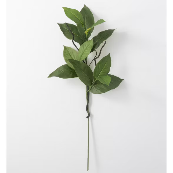 Sullivans Artificial Salal Leaf Stem 36"H Green | Target
