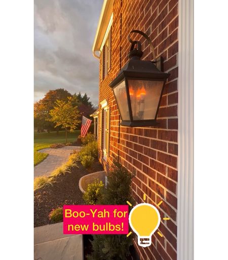 These fire-simulating LED lightbulbs are so fun! Putting in real gas lanterns would cost a fortune, so these lightbulbs are such a fun fake!


#LTKhome #LTKunder100