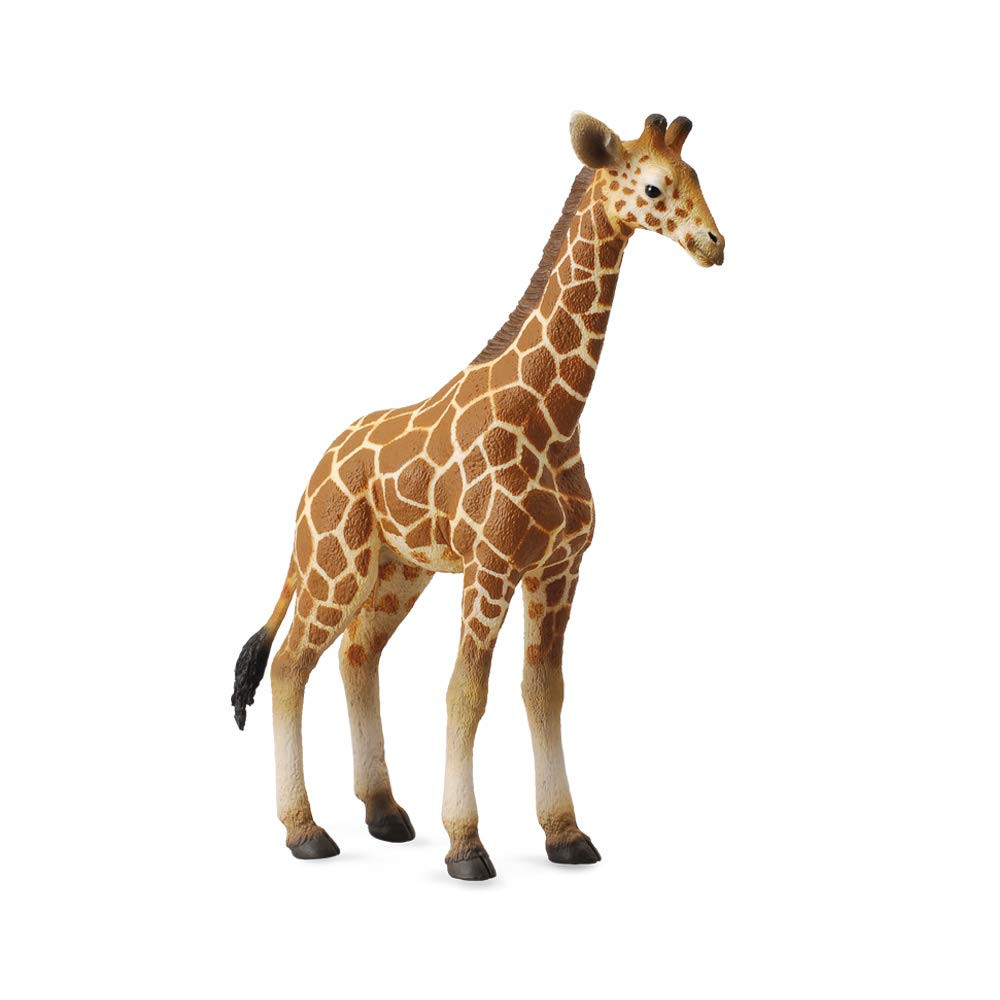 CollectA Wildlife Reticulated Giraffe Calf Toy Figure - Authentic Hand Painted Model | Amazon (US)