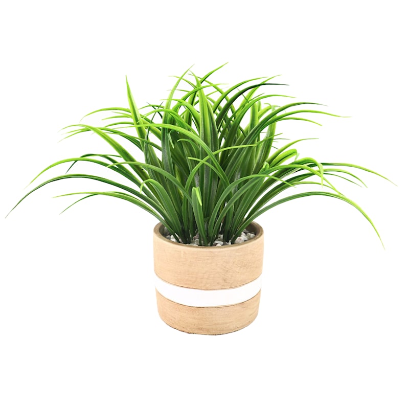 Green Grass Plant with Cement Planter, 9.5" | At Home