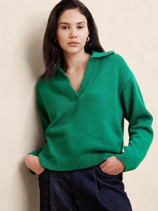 Textured Johnny-Collar Sweater | Banana Republic Factory
