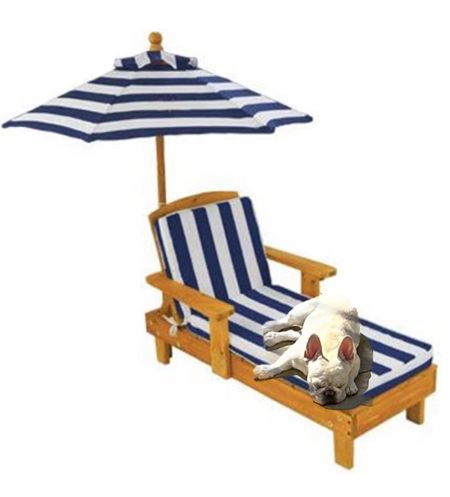 Pet dog lounger for pool outdoor Amazon find pool pet lounger chair umbrella 