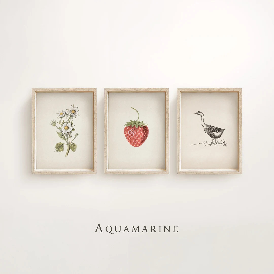 Vintage Nursery Set of 3 Prints, Strawberries Print for Nursery Decor, Strawberry Wall Art, Cotta... | Etsy (US)