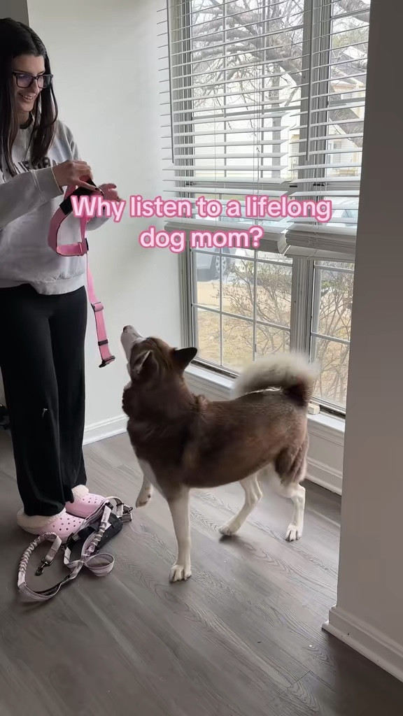 Husky mom recommendation 

 #LTKstorytime #LTKActive #LTKHome