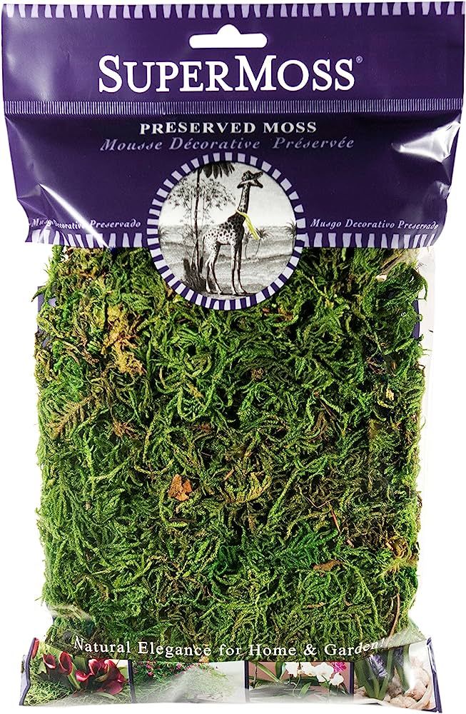 SuperMoss (25320) Forest Moss Preserved, Fresh Green, 2oz | Amazon (US)