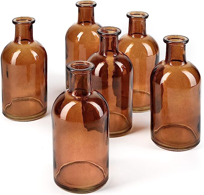 Amazon.com: Serene Spaces Living Bud Vases, Apothecary Jars, Decorative Glass Bottles, Centerpiec... | Amazon (US)