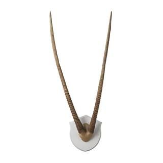 40 in. x 15 in. Gazelle Horns Ecru Resin Wall Mounted Plaque | The Home Depot