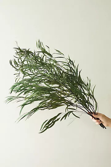 Preserved Eucalyptus Nicoly Bunch, Green | Anthropologie (US)