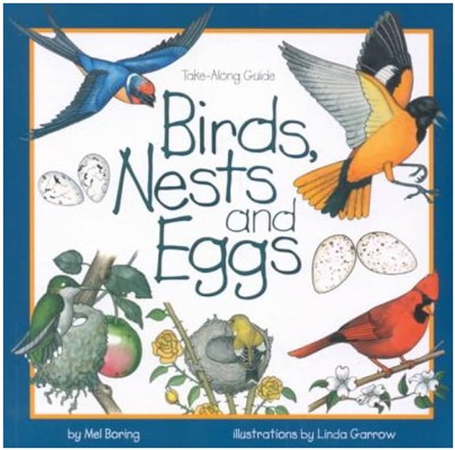 Birds, Nests & Eggs (Take Along Guides) | Amazon (US)
