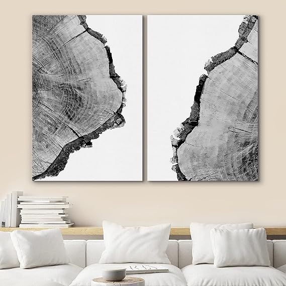 SIGNWIN Canvas Wall Art Black and White Trees Ring Detail Print Nature Wilderness Mixed Media Far... | Amazon (US)