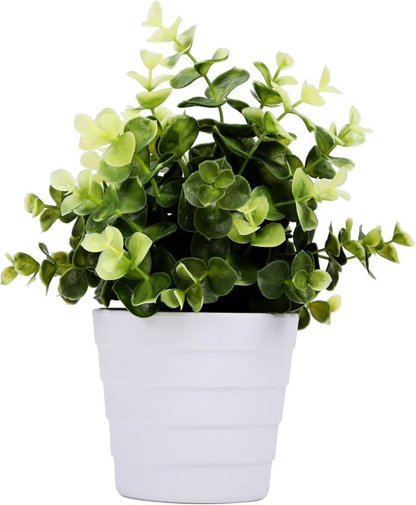 Meneco Small Fake Plant Potted - Faux Plant Indoor Plant Artificial Potted Plant Decor for Home a... | Amazon (US)