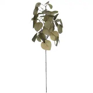 Olive Green Eucalyptus Stem by Ashland® | Michaels | Michaels Stores