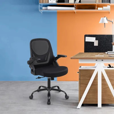 Dahiana Mesh Outline Ergonomic Home Office Task Chair,Computer Desk Chair | Wayfair North America