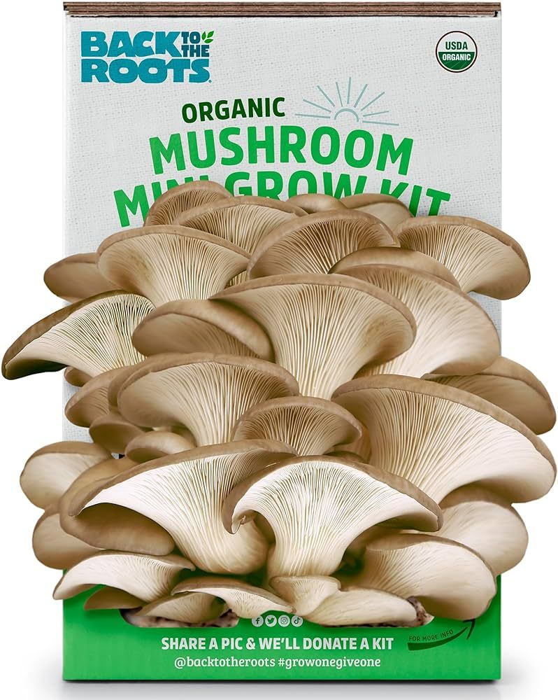Back to the Roots Organic Mini Mushroom Grow Kit, Harvest Gourmet Oyster Mushrooms In 10 days, T... | Amazon (US)