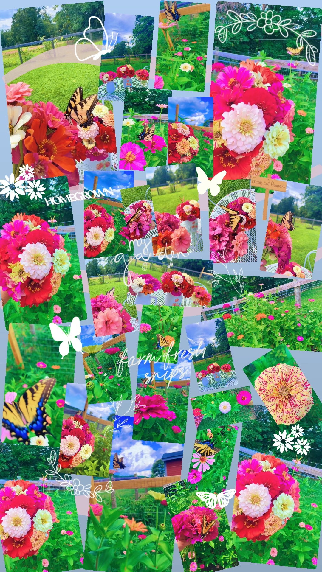 💐🦋💐🦋💐