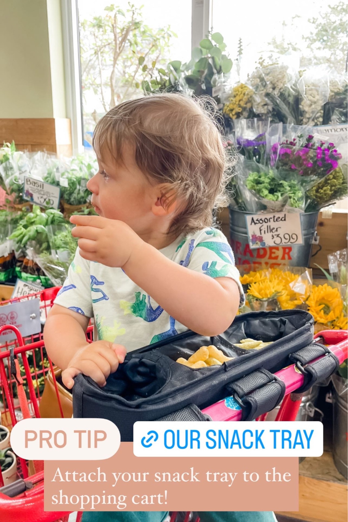 Toddler hack | snack tray | toddler shopping | stroller snack tray | toddler mom 

#LTKbaby #LTKfamily #LTKkids